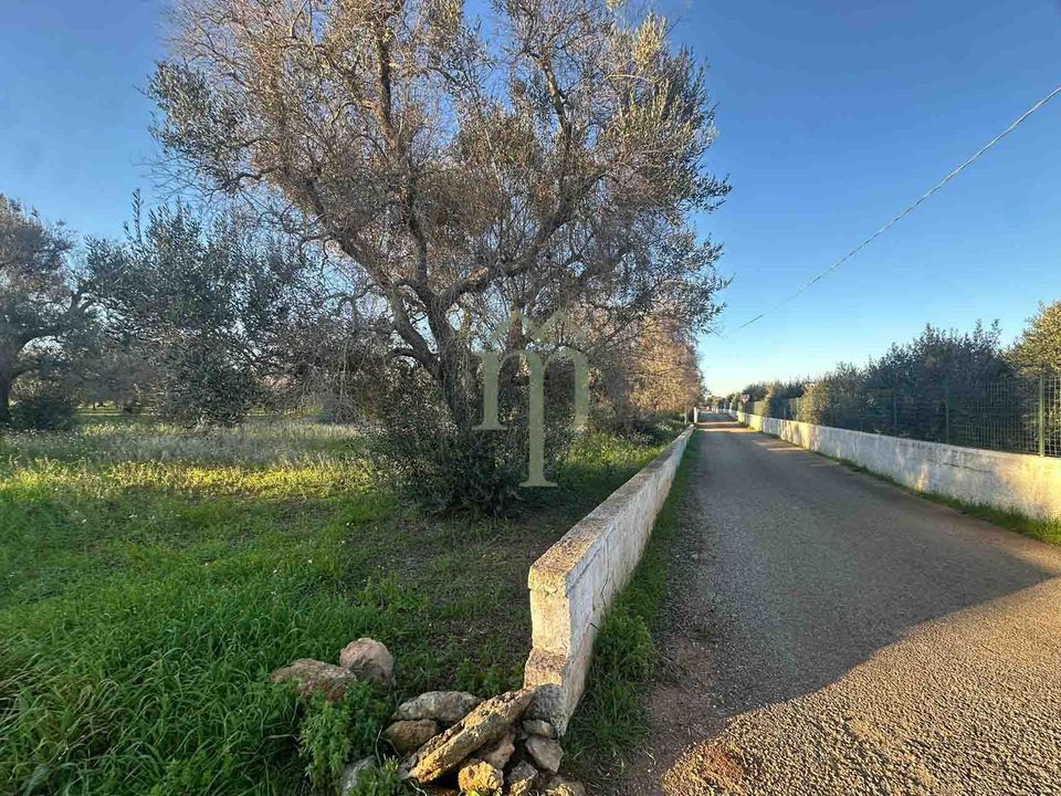 Helårsgrund i Carovigno, Brindisi - foto 5